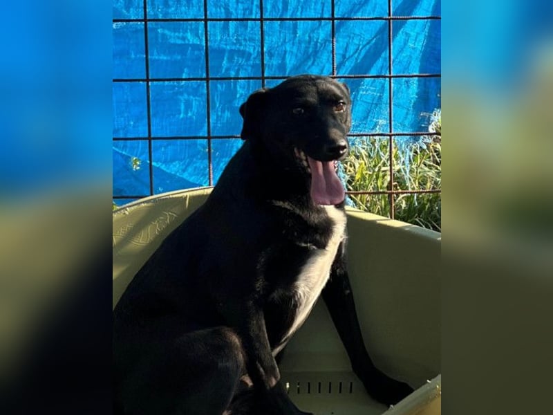 PINA❤️liebe, soziale Schönheit mit Charakter