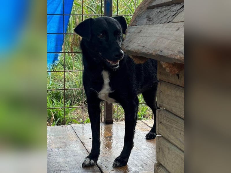 PINA❤️liebe, soziale Schönheit mit Charakter