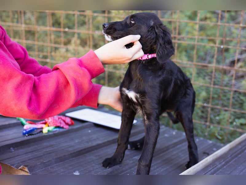 Mila ❤️ so süßes + lebensfrohes Mädchen!