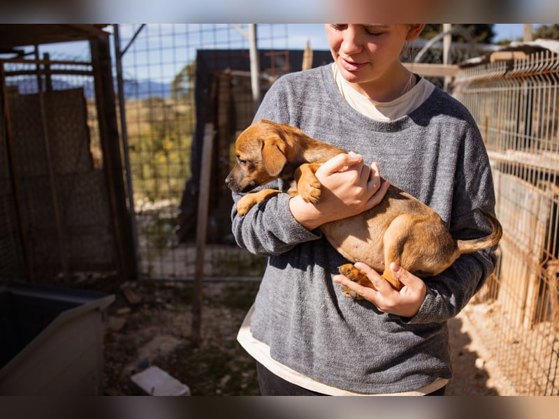 Tilly ❤️ aufgeweckte, lebenslustige Maus