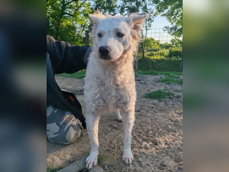 Sensible Jody ♥️ sucht Liebe & Verständnis