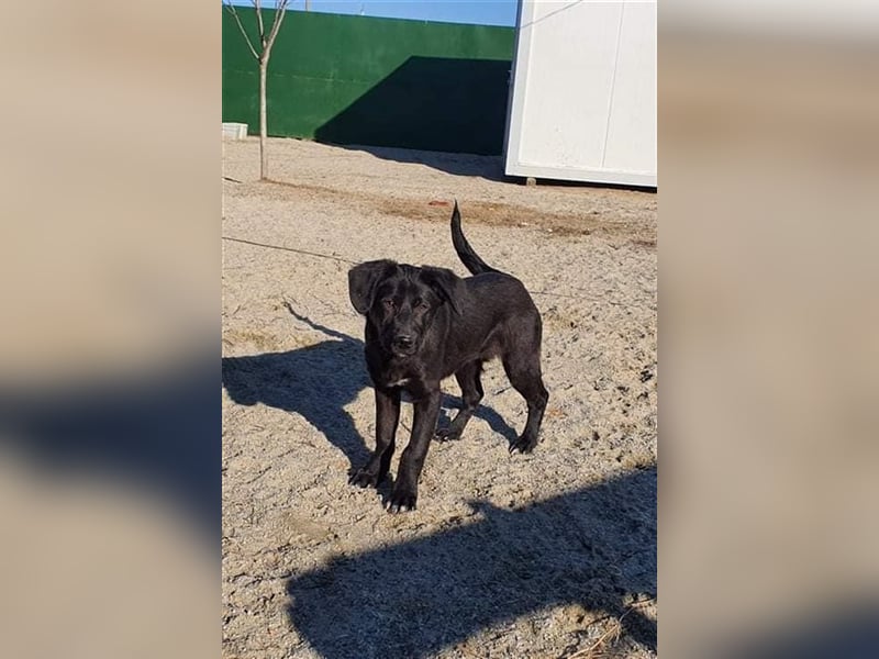 Benni wünscht sich ein Leben mit Dir