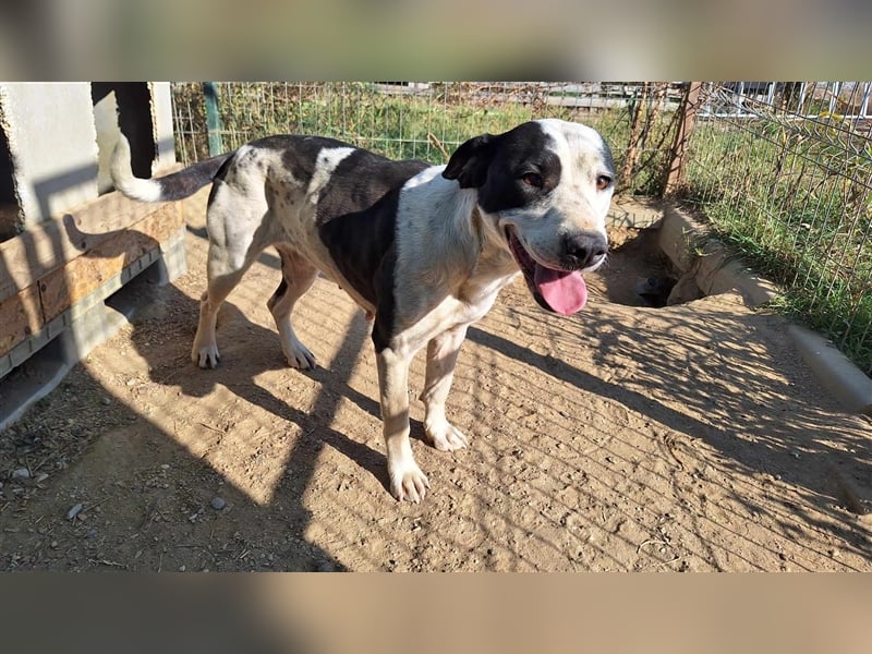 Happy braucht ein Happy End