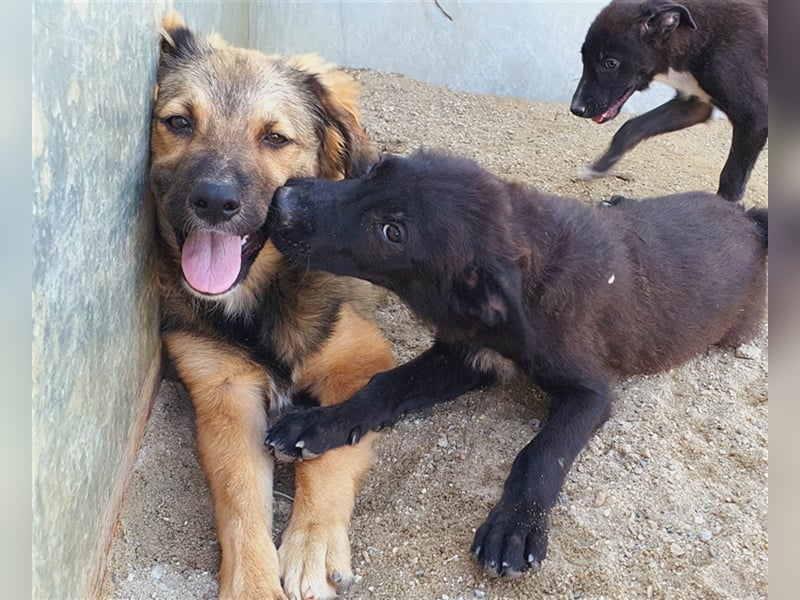 Figo will noch viel erleben