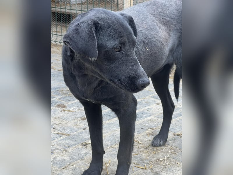 Ebony braucht ein Happy End