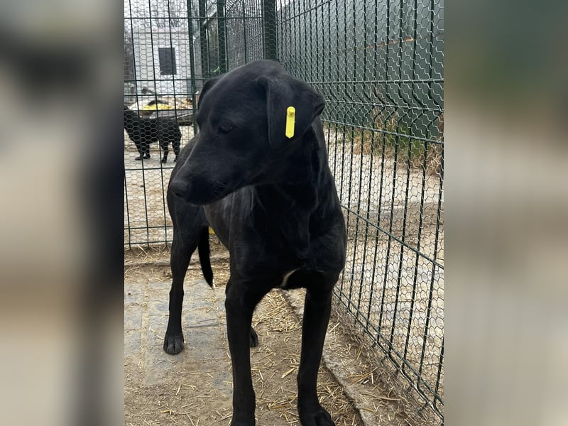 Ebony braucht ein Happy End