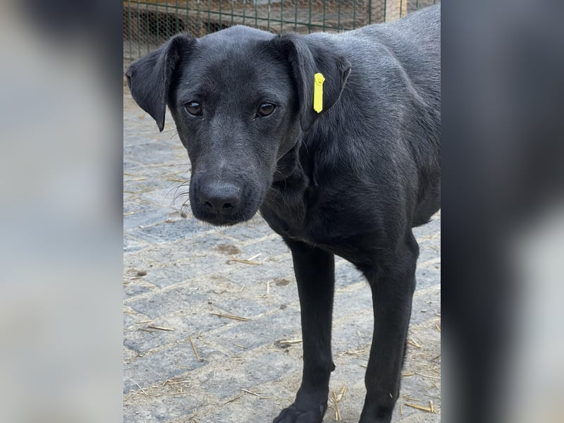 Ebony braucht ein Happy End