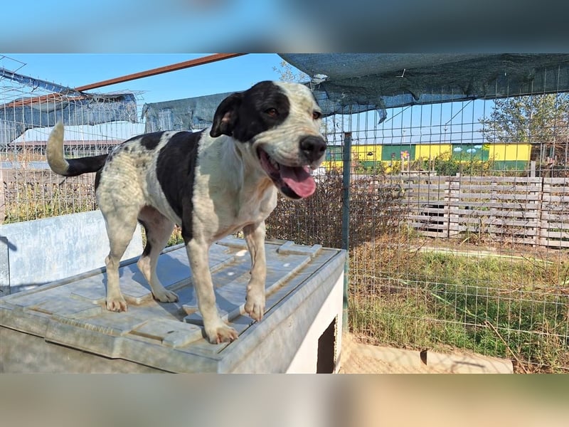 Happy braucht ein Happy End