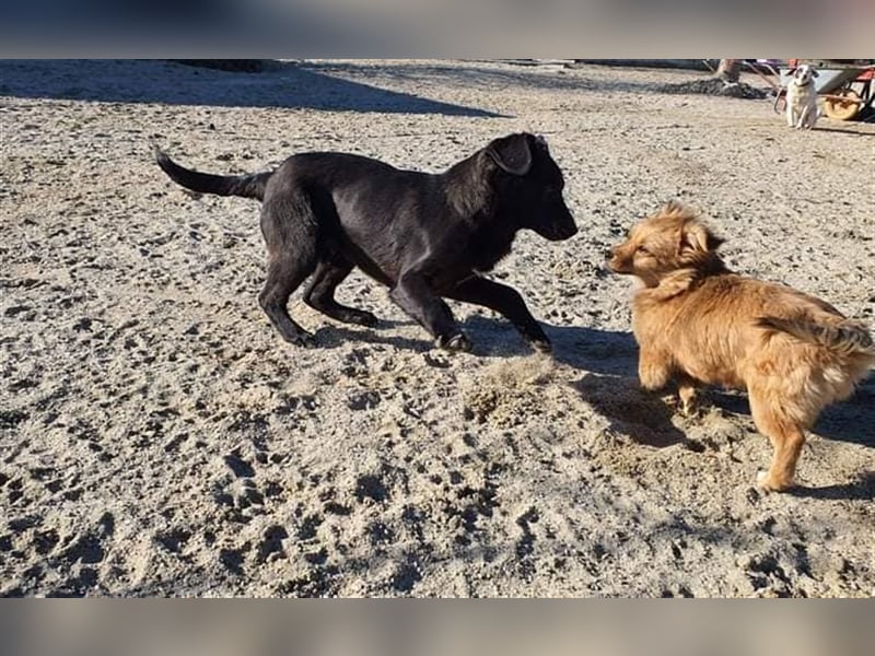 Benni wünscht sich ein Leben mit Dir