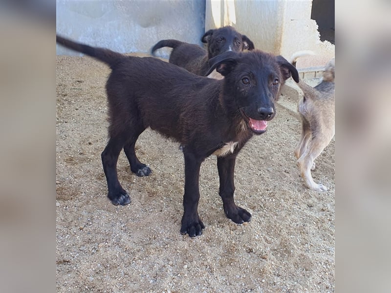 Figo will noch viel erleben