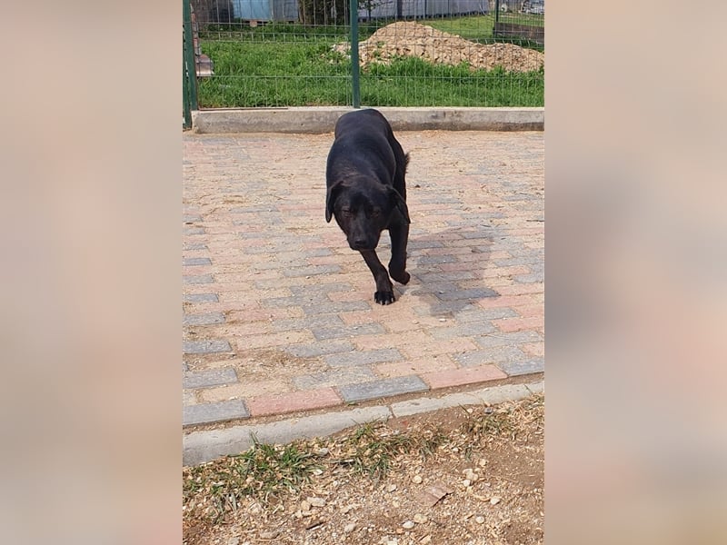 Benni wünscht sich ein Leben mit Dir