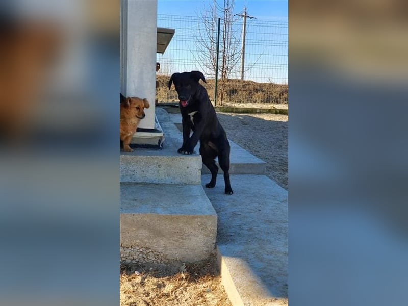 Benni wünscht sich ein Leben mit Dir