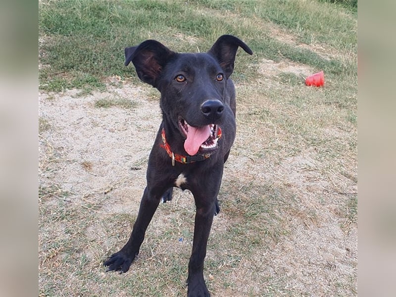 Marla braucht aktive Menschen