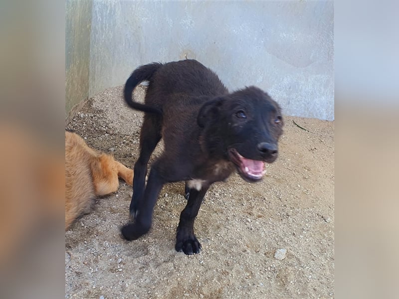 Figo will noch viel erleben