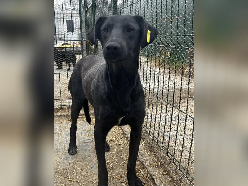 Ebony braucht ein Happy End