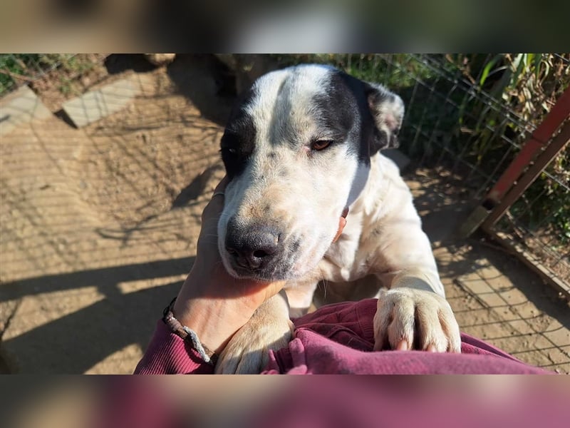 Happy braucht ein Happy End