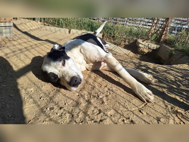 Happy braucht ein Happy End