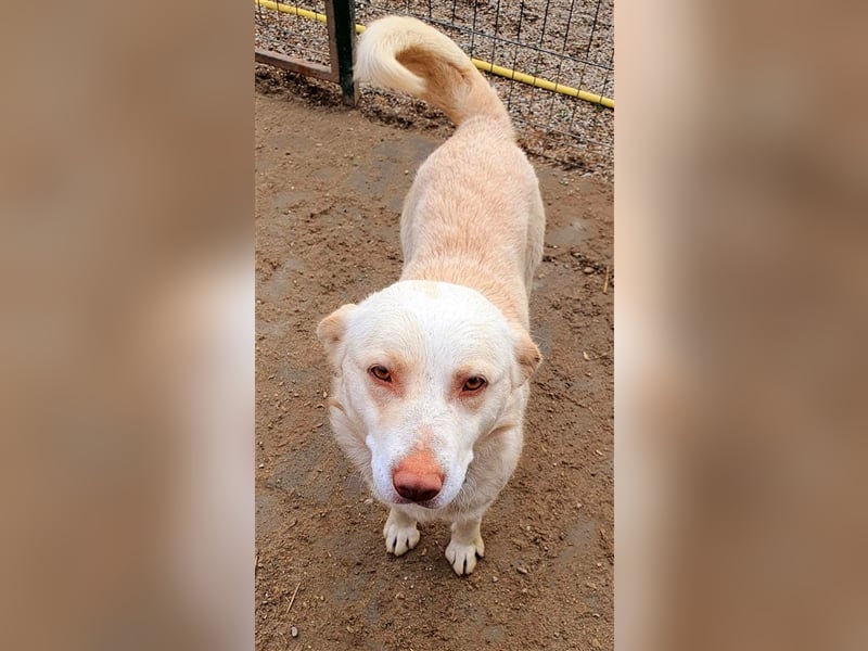 Rob Roy möchte mit Dir Abenteuer erleben