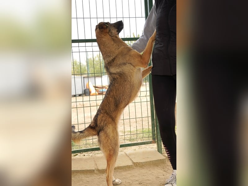 Guarida sucht ihr kuscheliges Zuhause