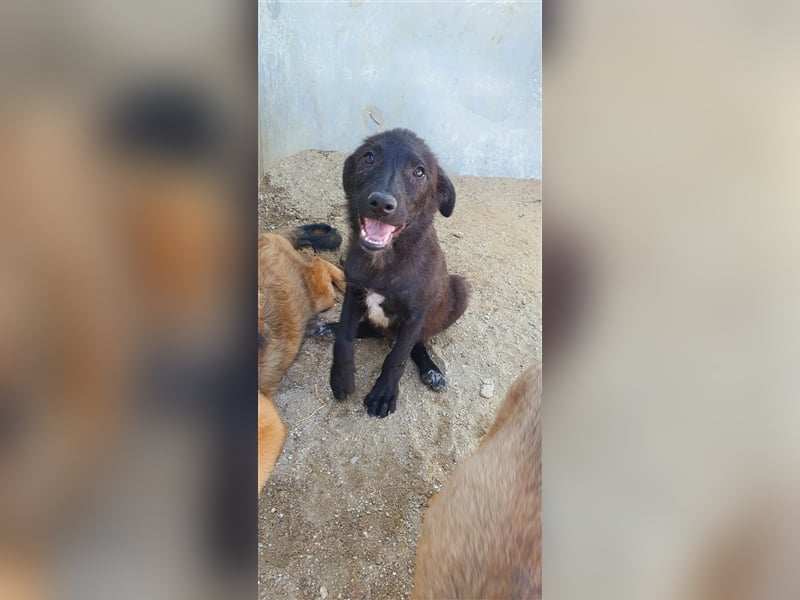 Figo will noch viel erleben