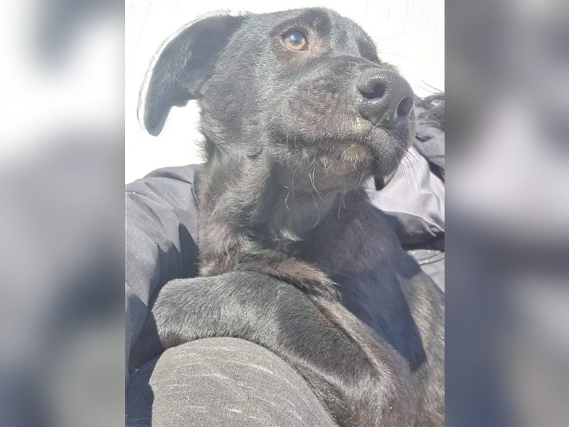 Benni wünscht sich ein Leben mit Dir