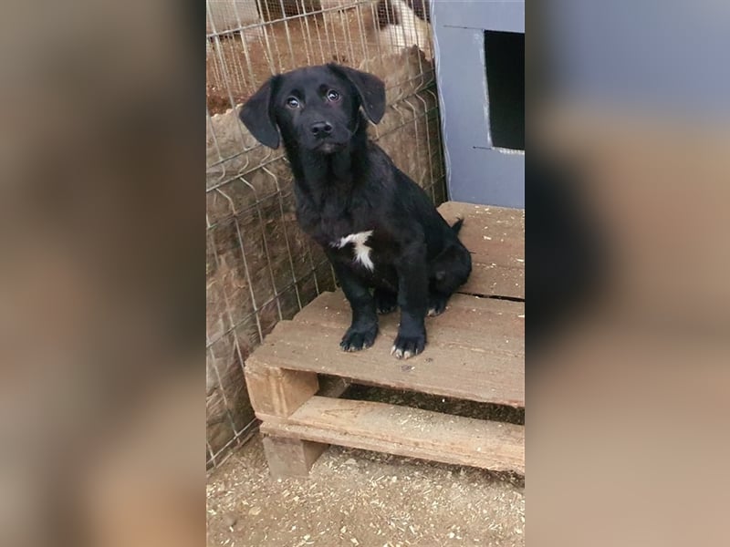 Benni wünscht sich ein Leben mit Dir