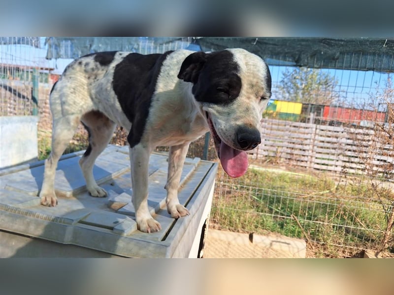 Happy braucht ein Happy End