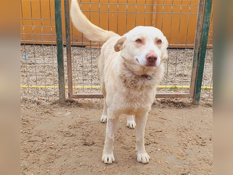 Rob Roy möchte mit Dir Abenteuer erleben