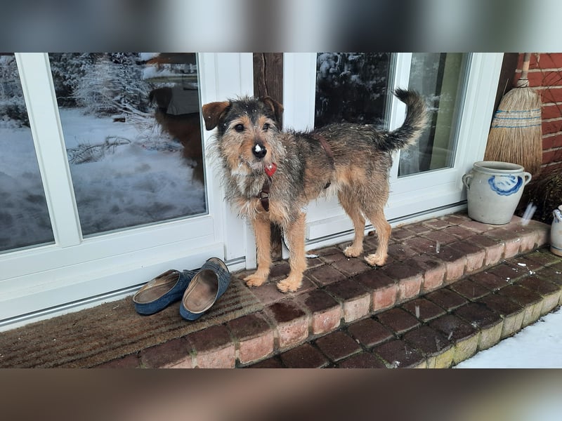 Elliot sucht ein Zuhause, 5 Jahre alt, 47 cm