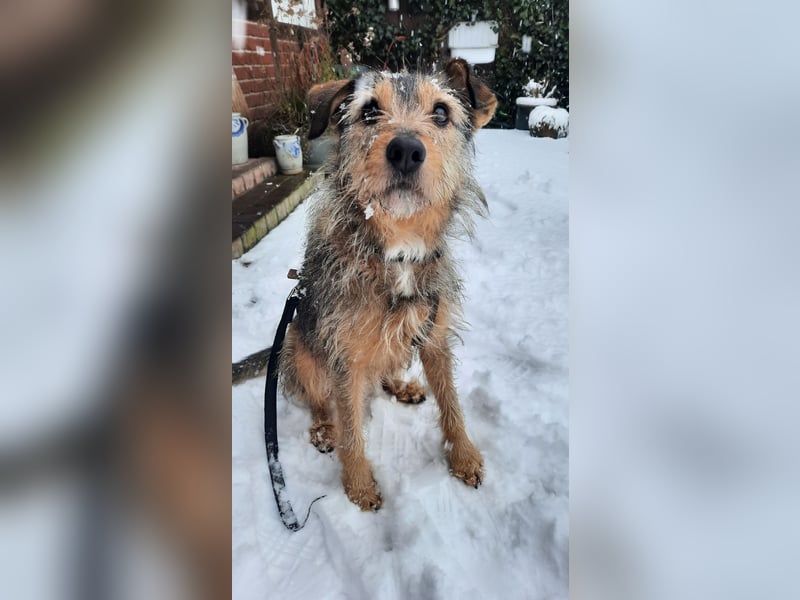 Elliot sucht ein Zuhause, 5 Jahre alt, 47 cm