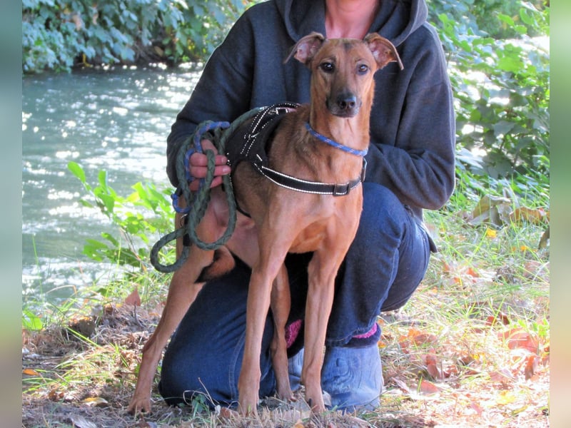Holly – sanfte Seele im besten Alter sucht Herzensmensch