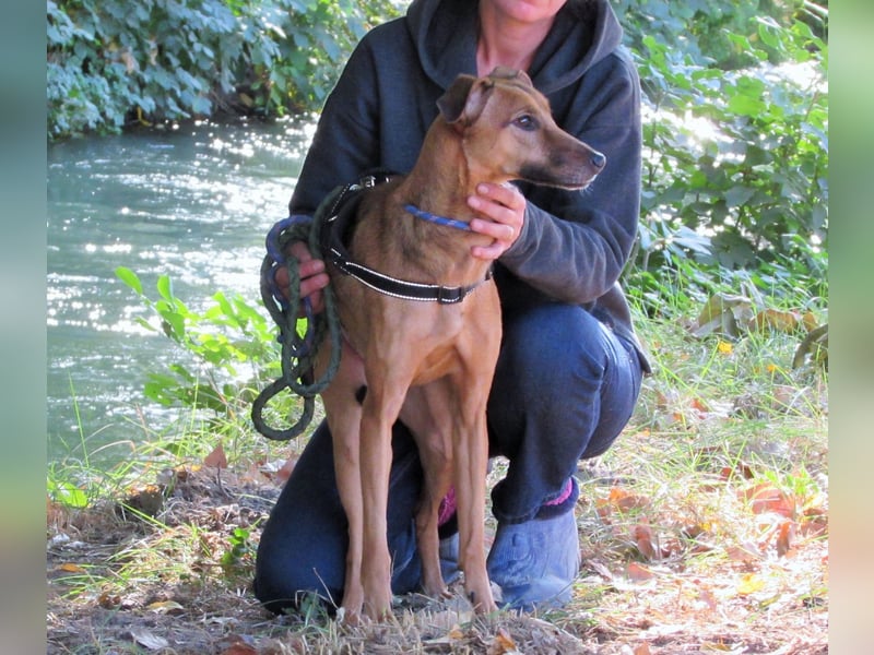 Holly – sanfte Seele im besten Alter sucht Herzensmensch