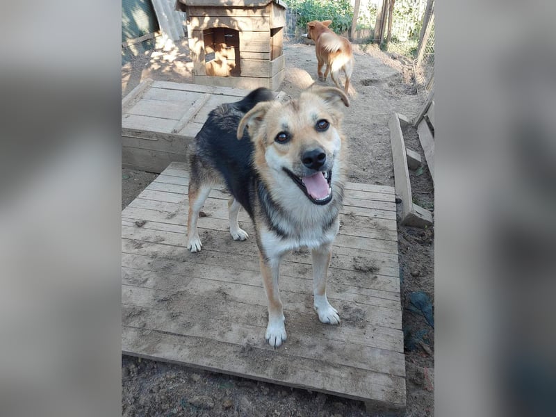 Pok - ein toller Bub im besten Alter