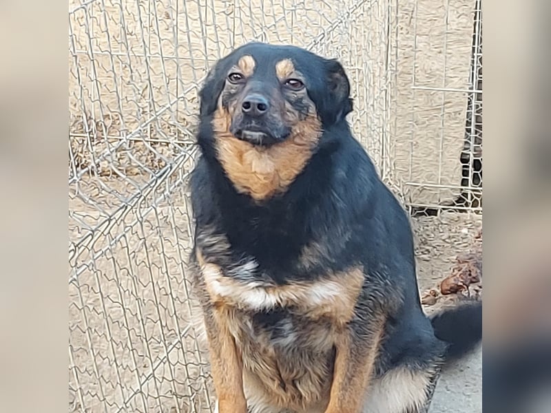 Ariana - Kleine Kämpferin sucht ihr Glück *Videos*