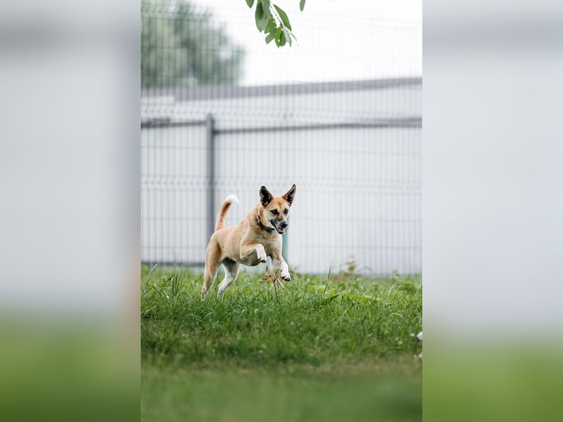 Lebhafte Dasha sucht ihre Menschen