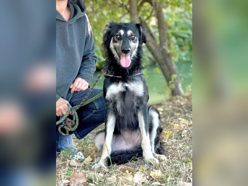 Samba: superliebe Seele sucht Herzensmenschen