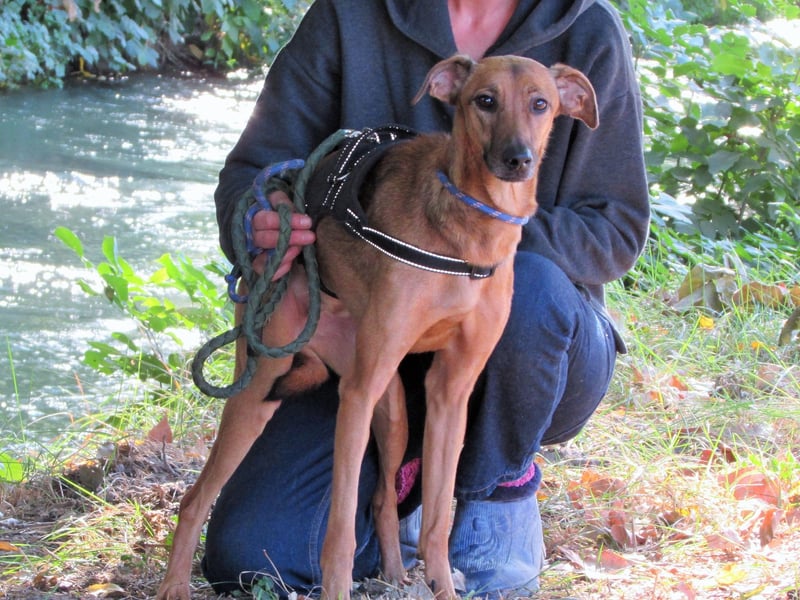 Holly – sanfte Seele im besten Alter sucht Herzensmensch