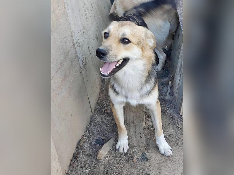 Pok - ein toller Bub im besten Alter