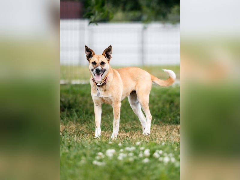 Lebhafte Dasha sucht ihre Menschen