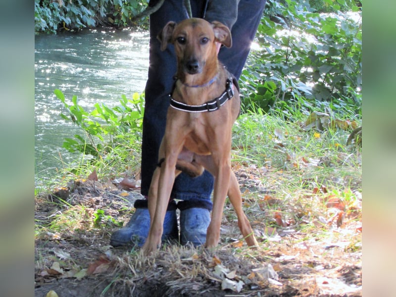 Holly – sanfte Seele im besten Alter sucht Herzensmensch