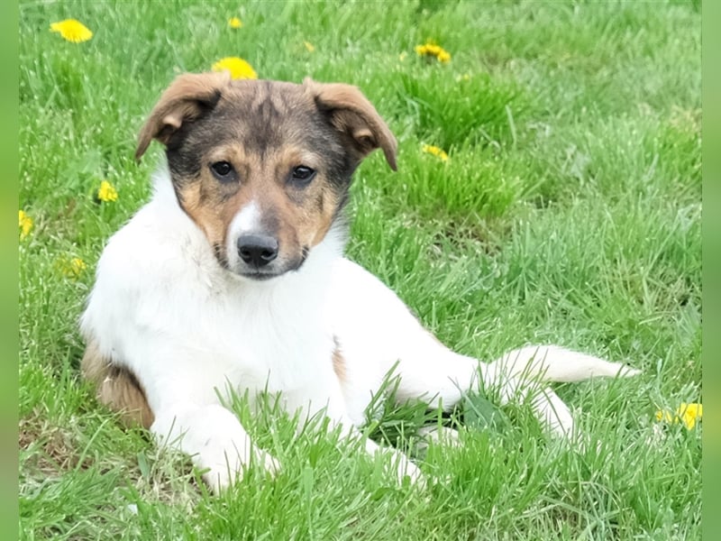 Peppone möchte die Welt erkunden