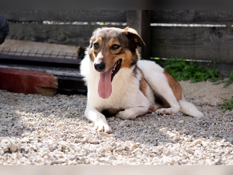 Peppone möchte die Welt erkunden