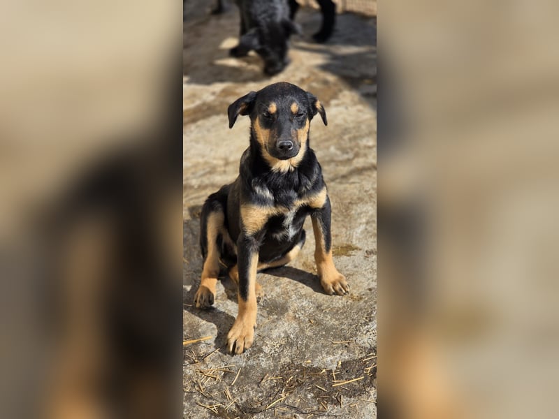 Mirona wartet in 97724 Burglauer auf Besuch