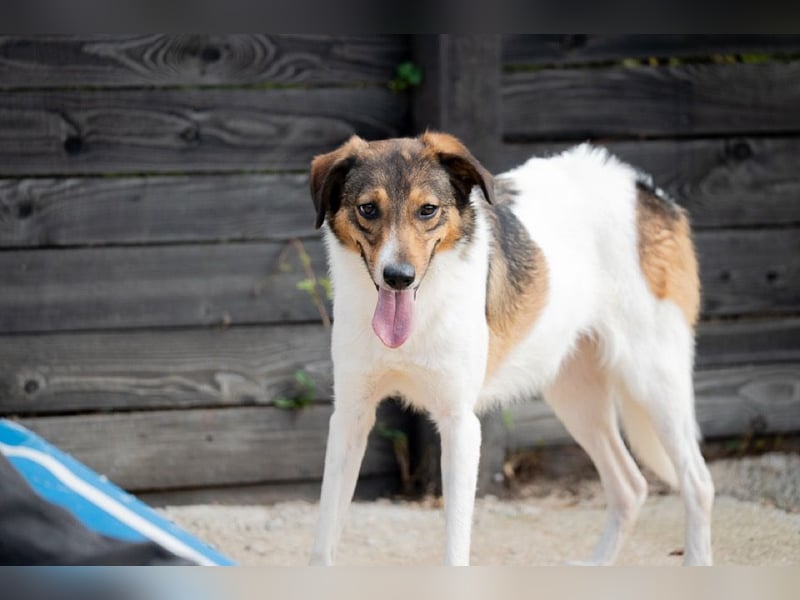 Peppone möchte die Welt erkunden