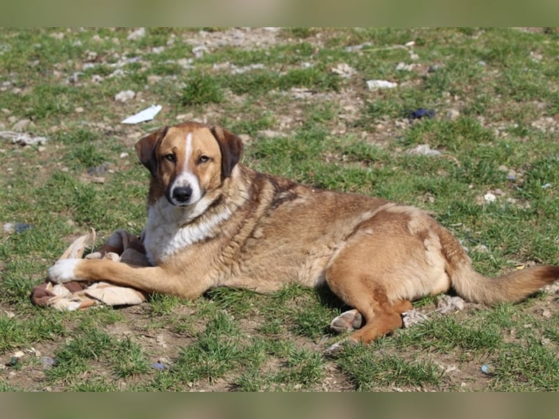 Anikan ist bereit für seine große Reise