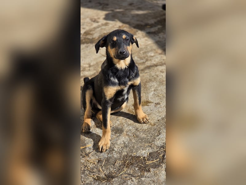 Mirona wartet in 97724 Burglauer auf Besuch