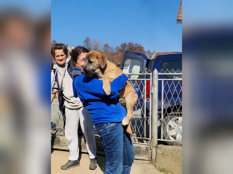 Fiona - sanfte Schwester mit wachem Blick