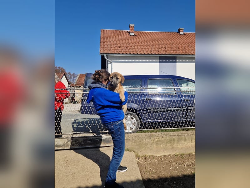 Fiona - sanfte Schwester mit wachem Blick