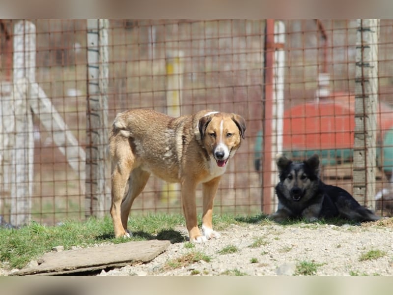 Anikan ist bereit für seine große Reise