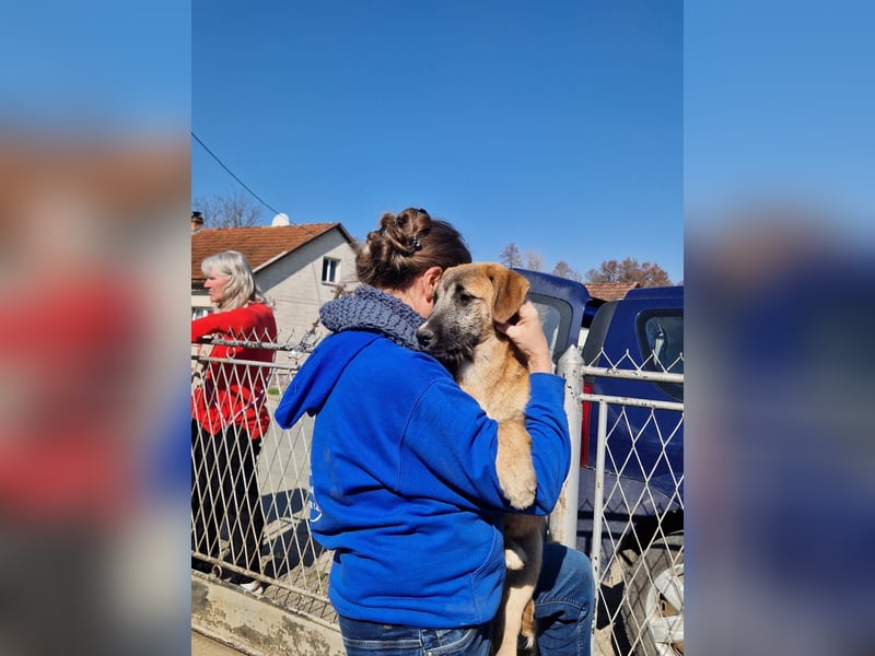 Fiona - sanfte Schwester mit wachem Blick